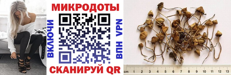 купить наркотики сайты  Горнозаводск  KRAKEN как зайти  Галлюциногенные грибы Psilocybine cubensis 